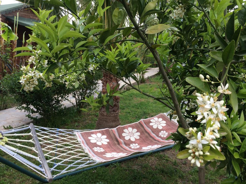 Armira Holiday park Cirali