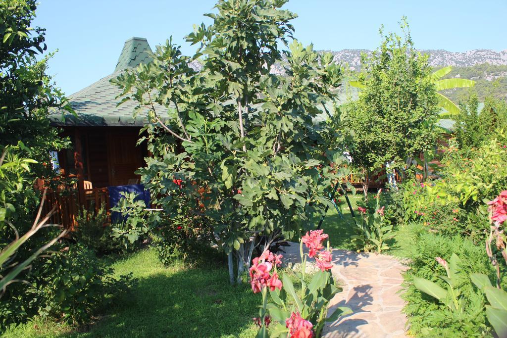 Holiday park Armira Cirali