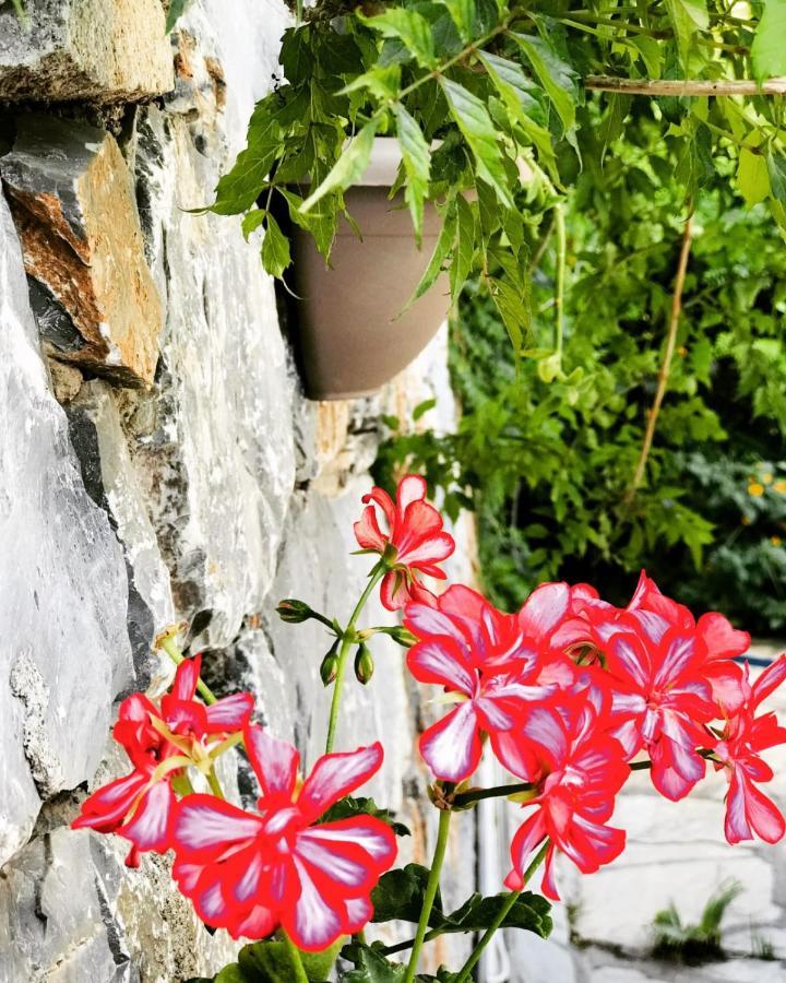 Bed & Breakfast Nehir Dalyan Boutique *