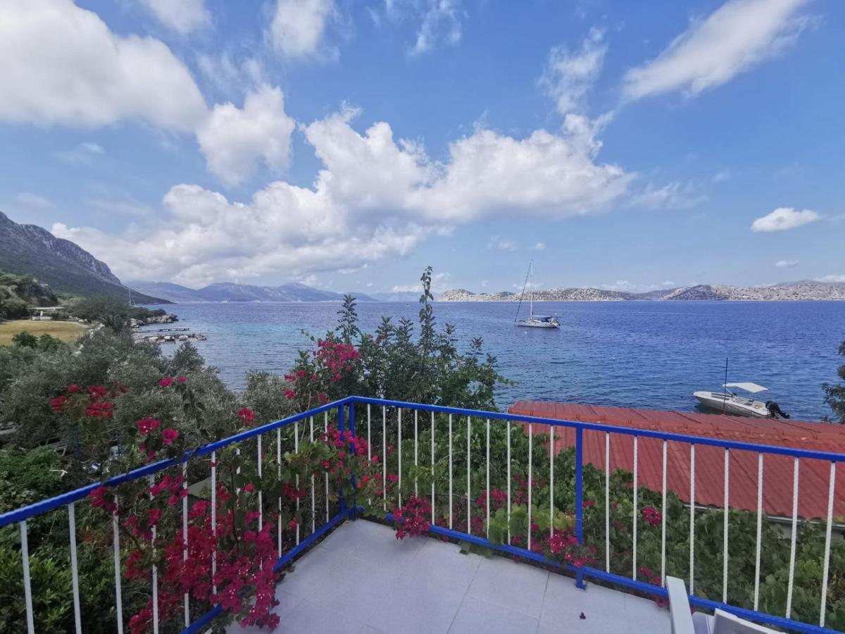 Mavi Akvaryum Pension Guest house Sogut (Aegean)