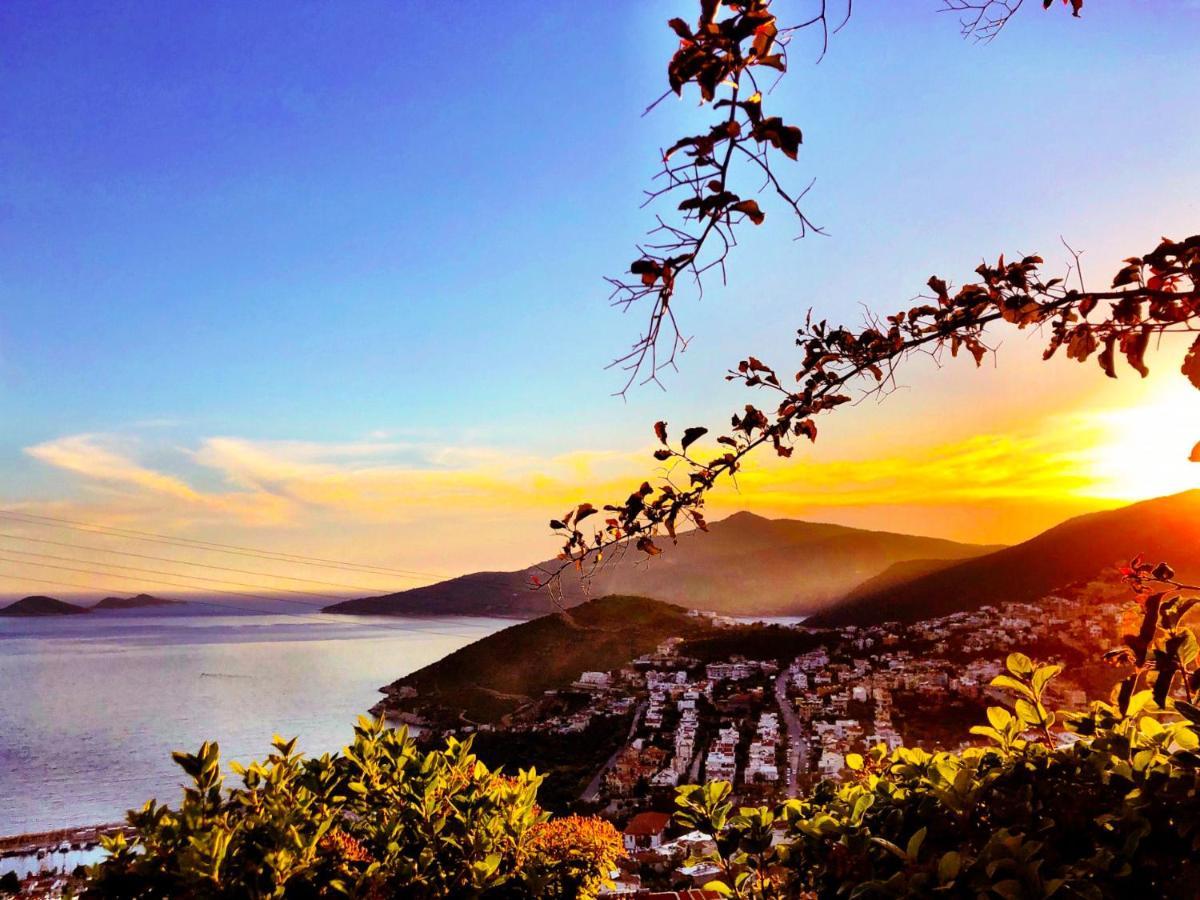 Valo Kalkan