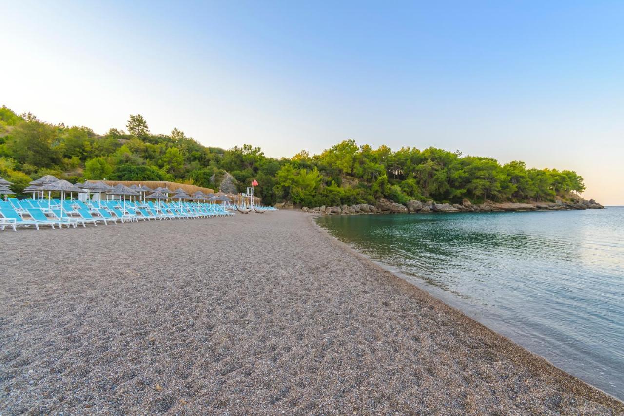 Hotel Litore & Okurcalar