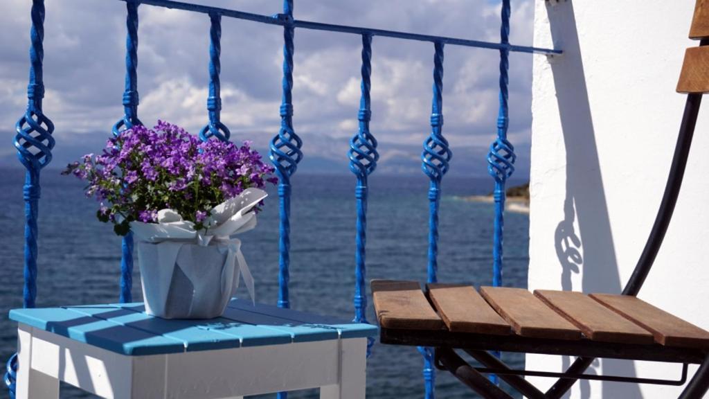 Hotel Marin 3*