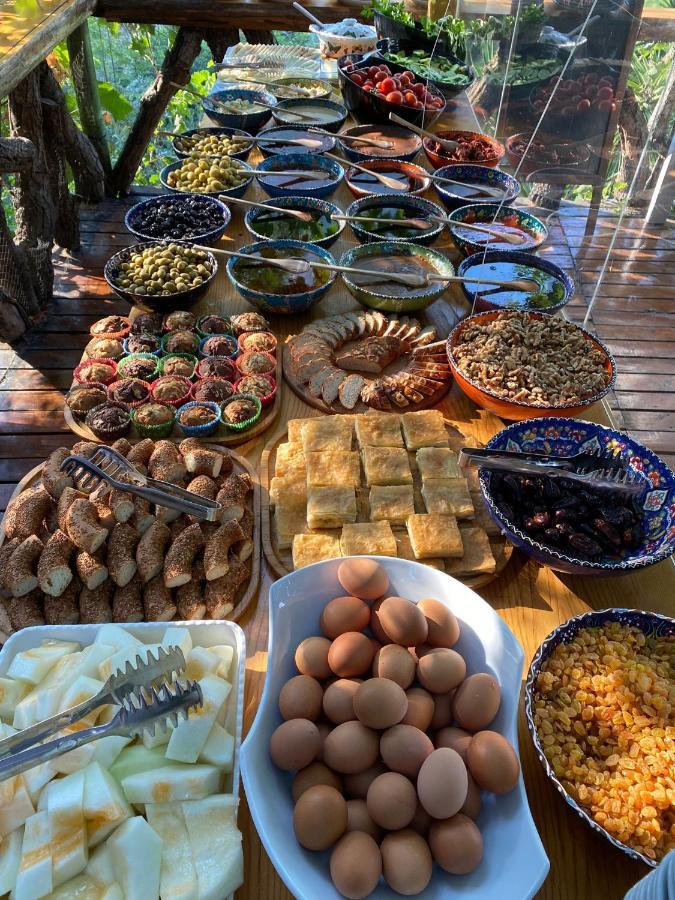 Holiday park Turan Hill Lounge Faralya