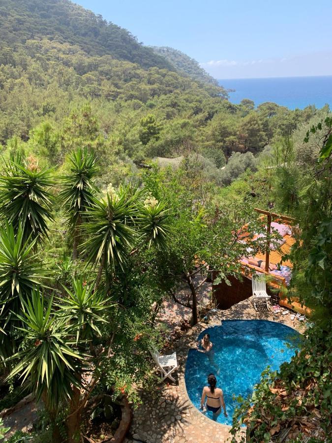 Holiday park Turan Hill Lounge