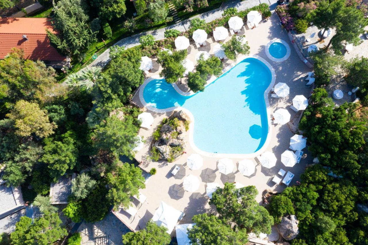 Hotel D -