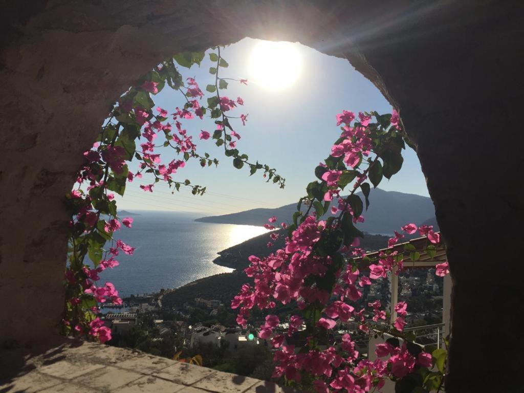 Valo Kalkan