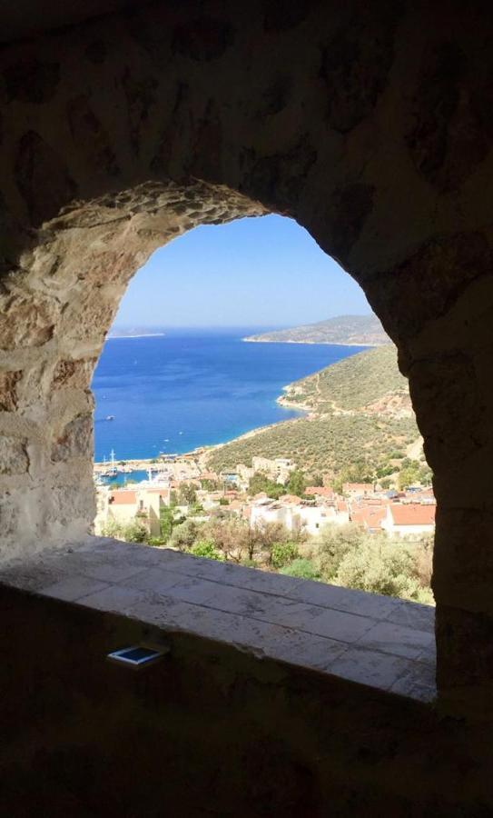 Valo Kalkan