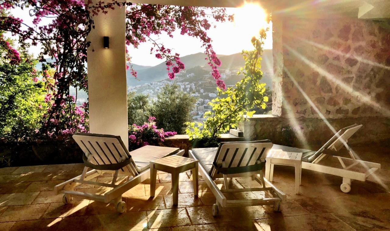 Valo * Kalkan