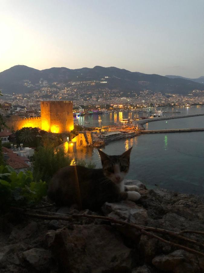 Harmony Butik (adults Only) 2* Alanya