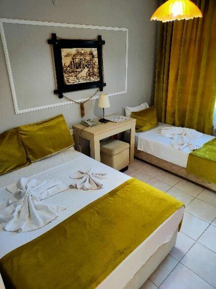 Hotel Erenler 2*