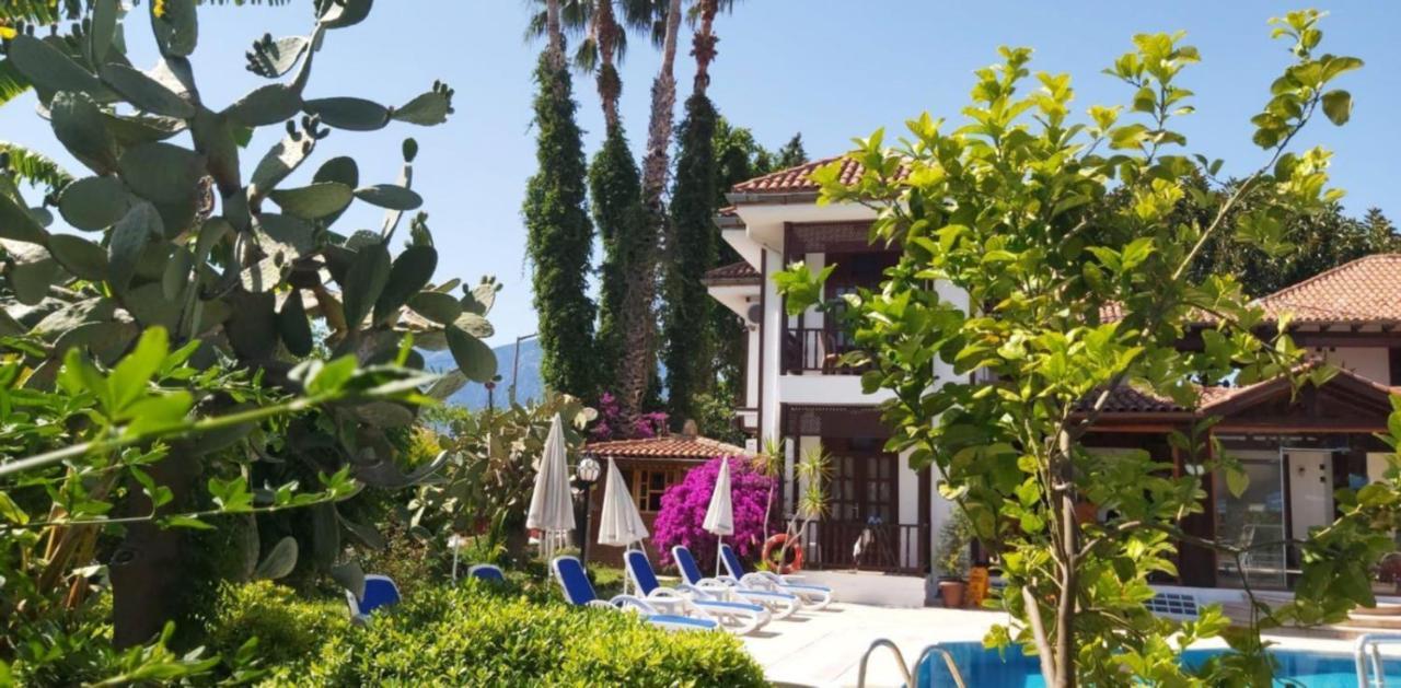 Bed & Breakfast Palma Rosa 3*