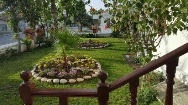 Bed & Breakfast Palma Rosa