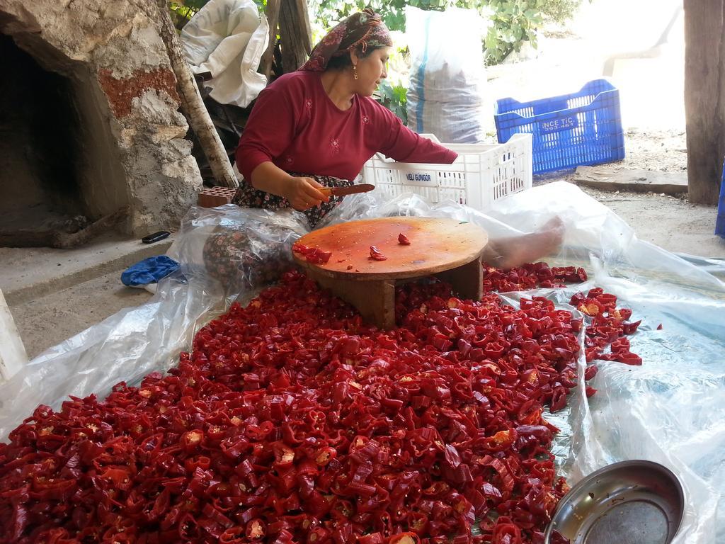 Beymelek Tas Evler Country house Demre
