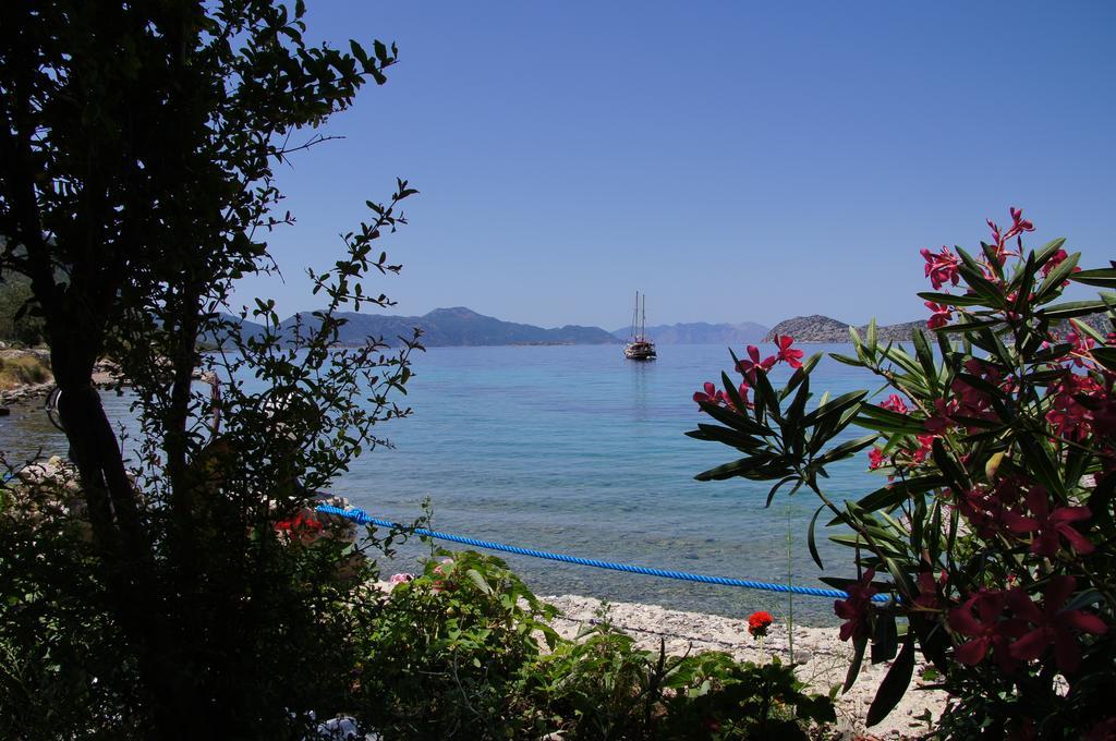 Guest house Mavi Akvaryum Pension Sogut (Aegean)