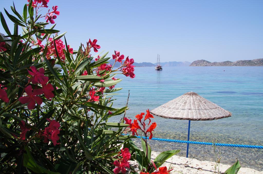 Mavi Akvaryum Pension Guest house Sogut (Aegean)