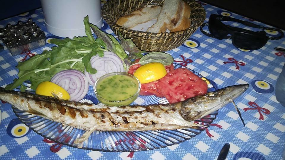 Mavi Akvaryum Pension * Sogut (Aegean)