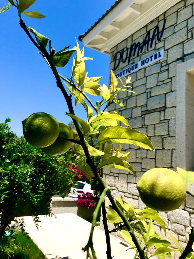Duman Boutique Hotel *