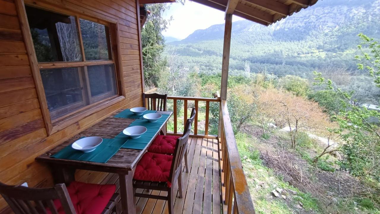 Lycia Nature House 2*