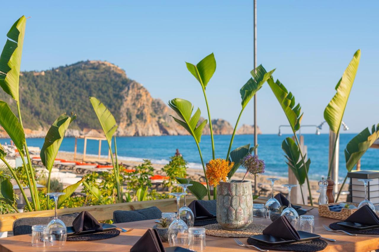 Hotel Royalisa Palmiye Adult Only 3*