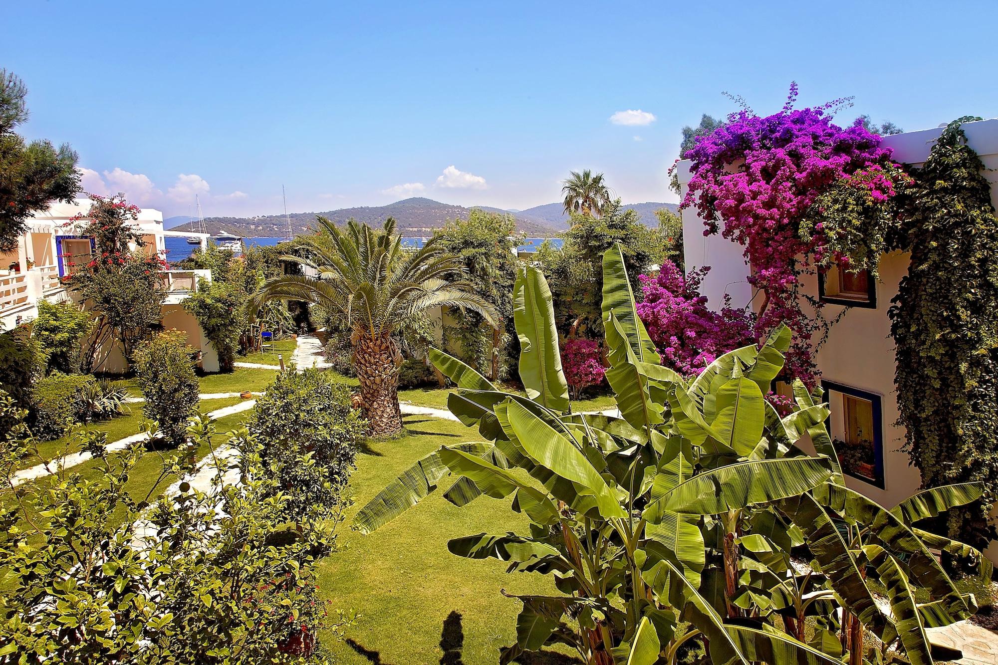 Mavi Turkbuku Hotel 3*