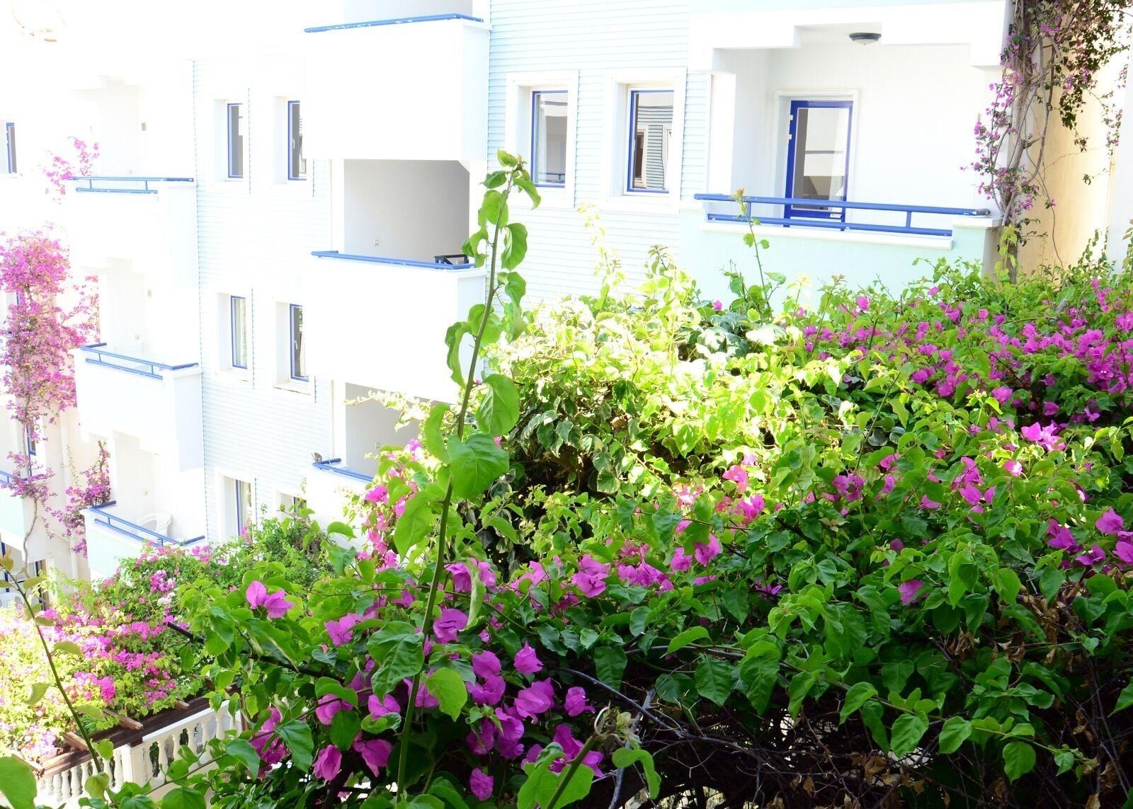 Sunpoint Bodrum 3* Gumbet