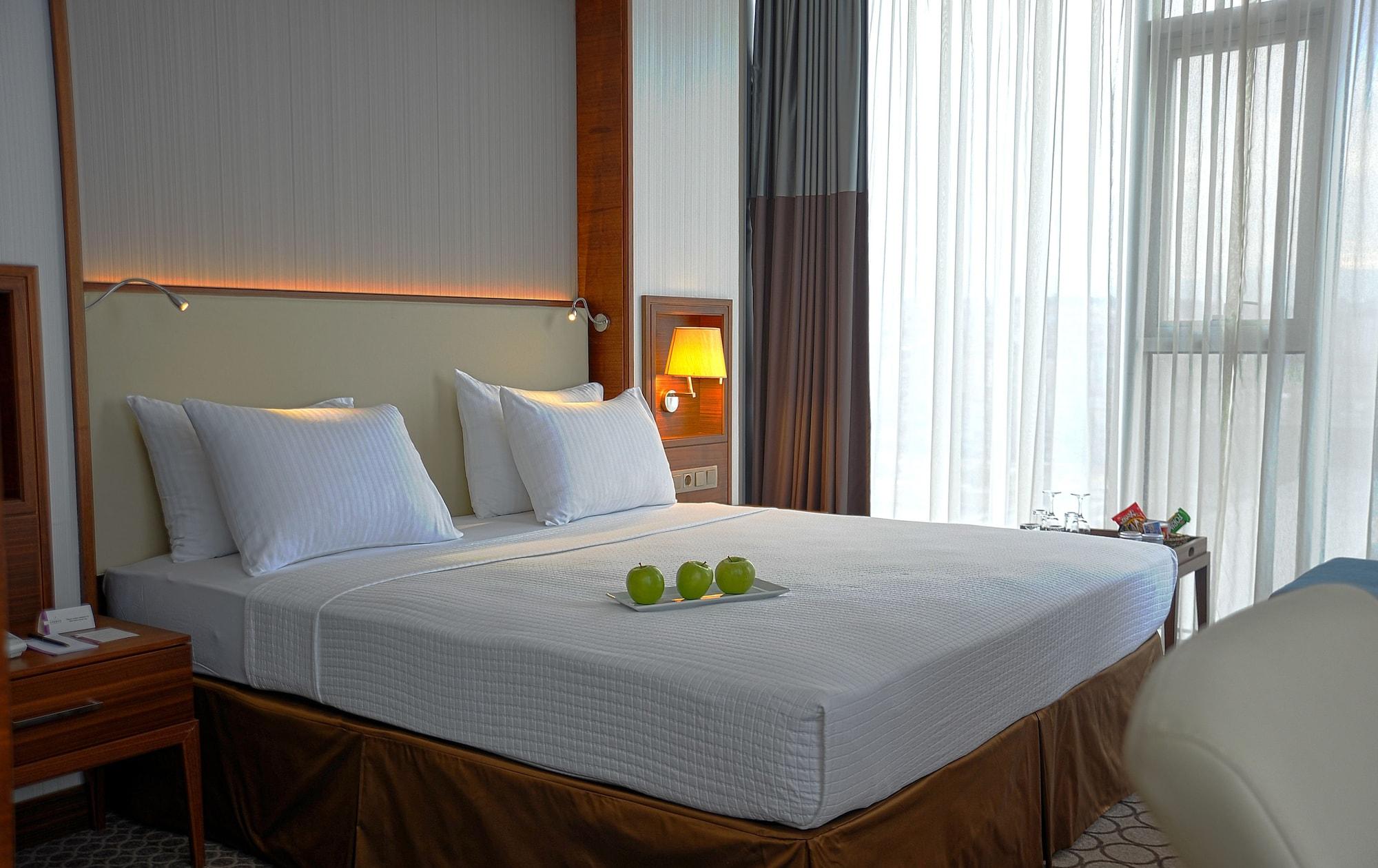 Anemon Grand Hotel Samsun