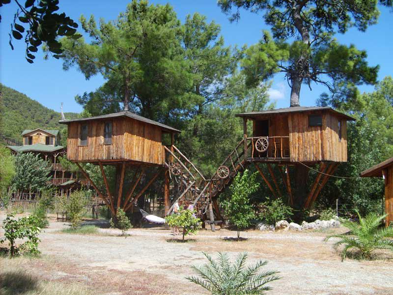 Rahmi's Tree Houses