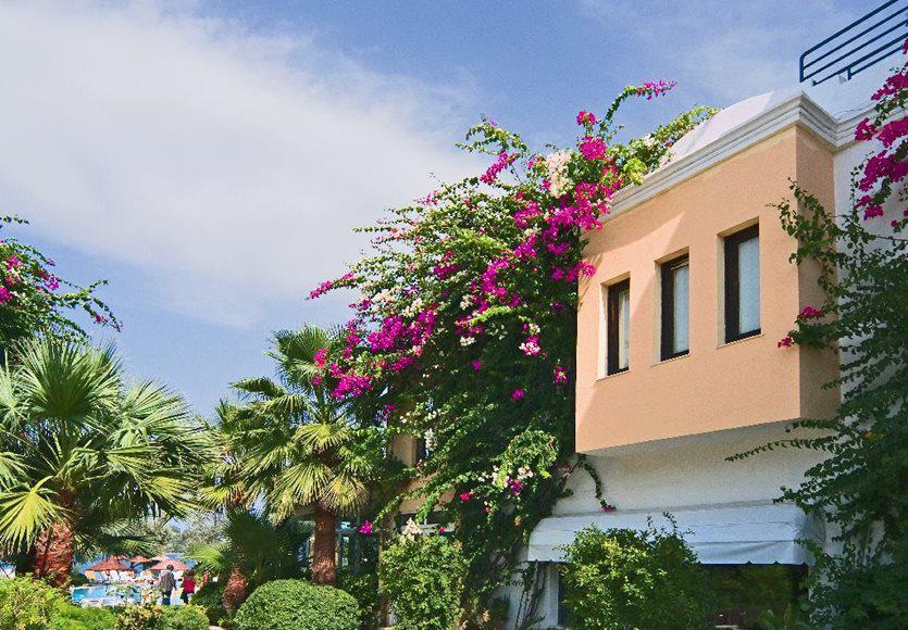 Resort Izer Club Torba