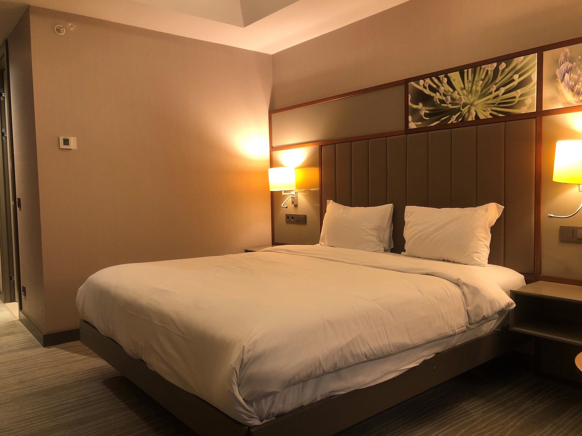 Hilton Garden Atatuerk Airport Hotel Istanbul