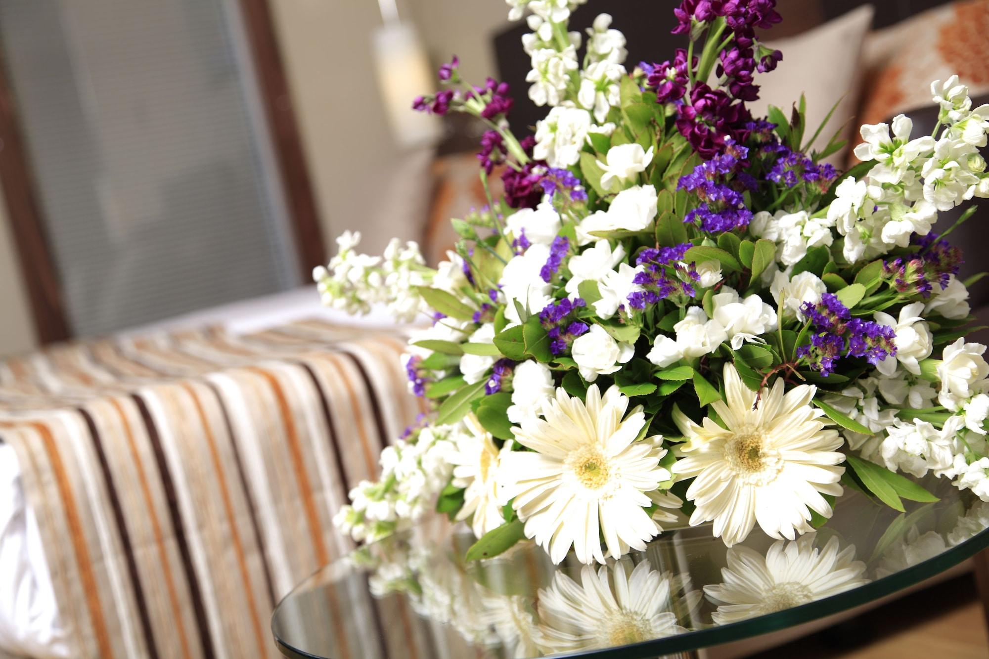 Hotel Kolin & Convention Center 5*