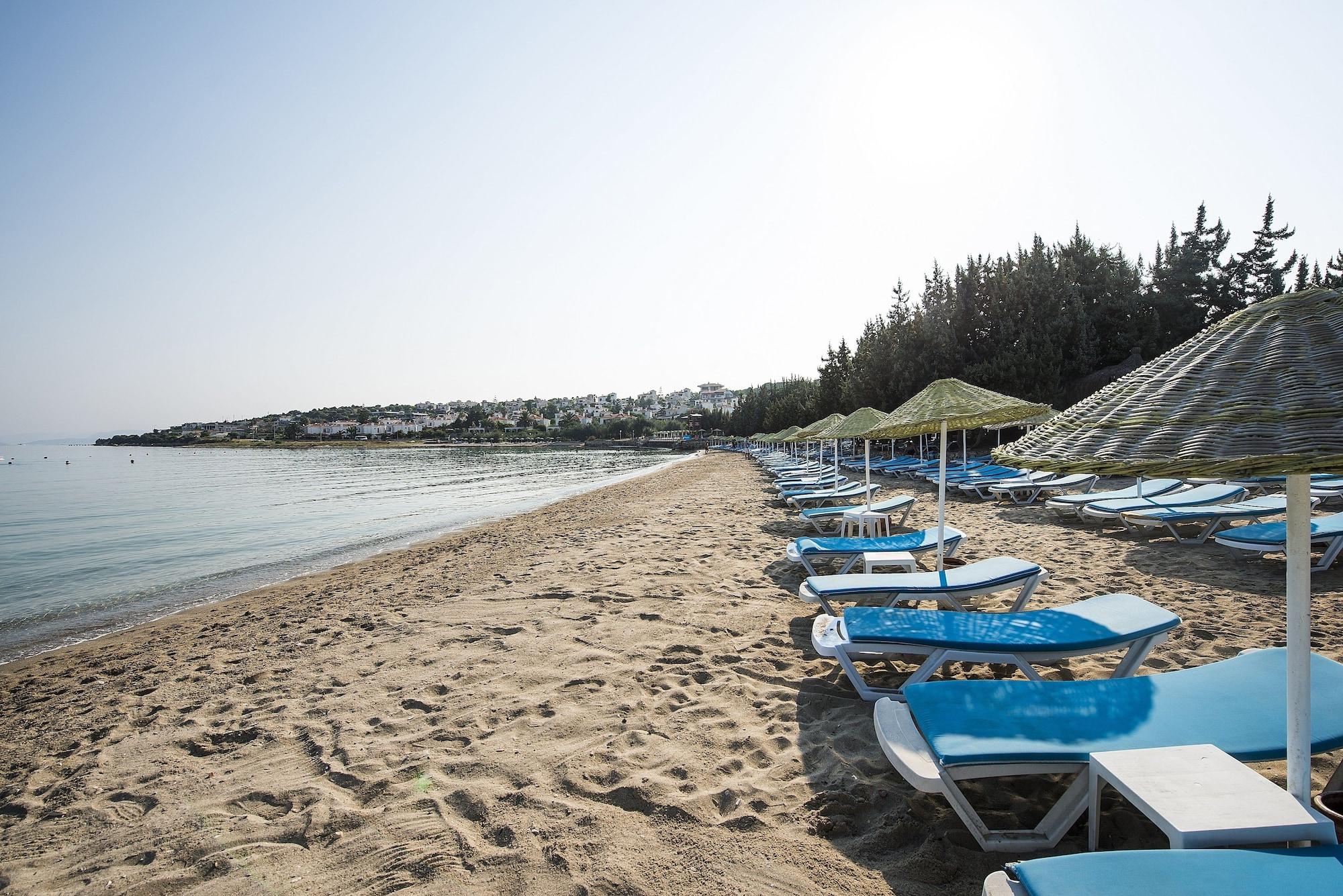 Altin Yunus * Cesme