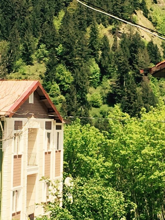 Hotel Inceli Uzungol