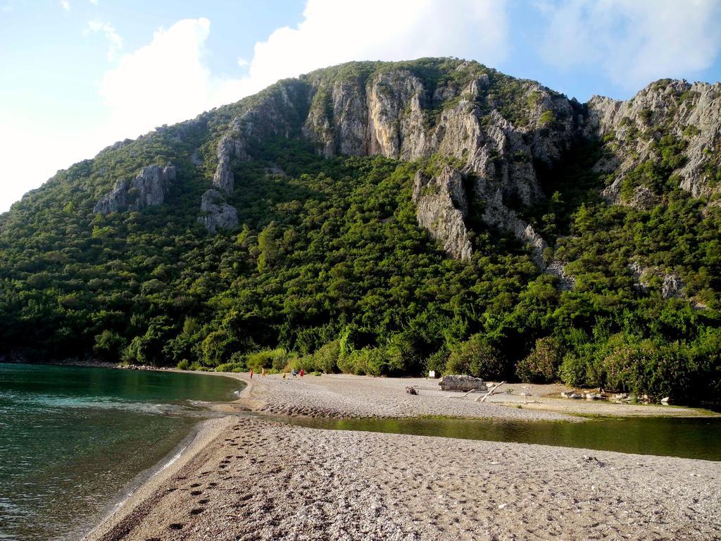 Daphne House Olympos
