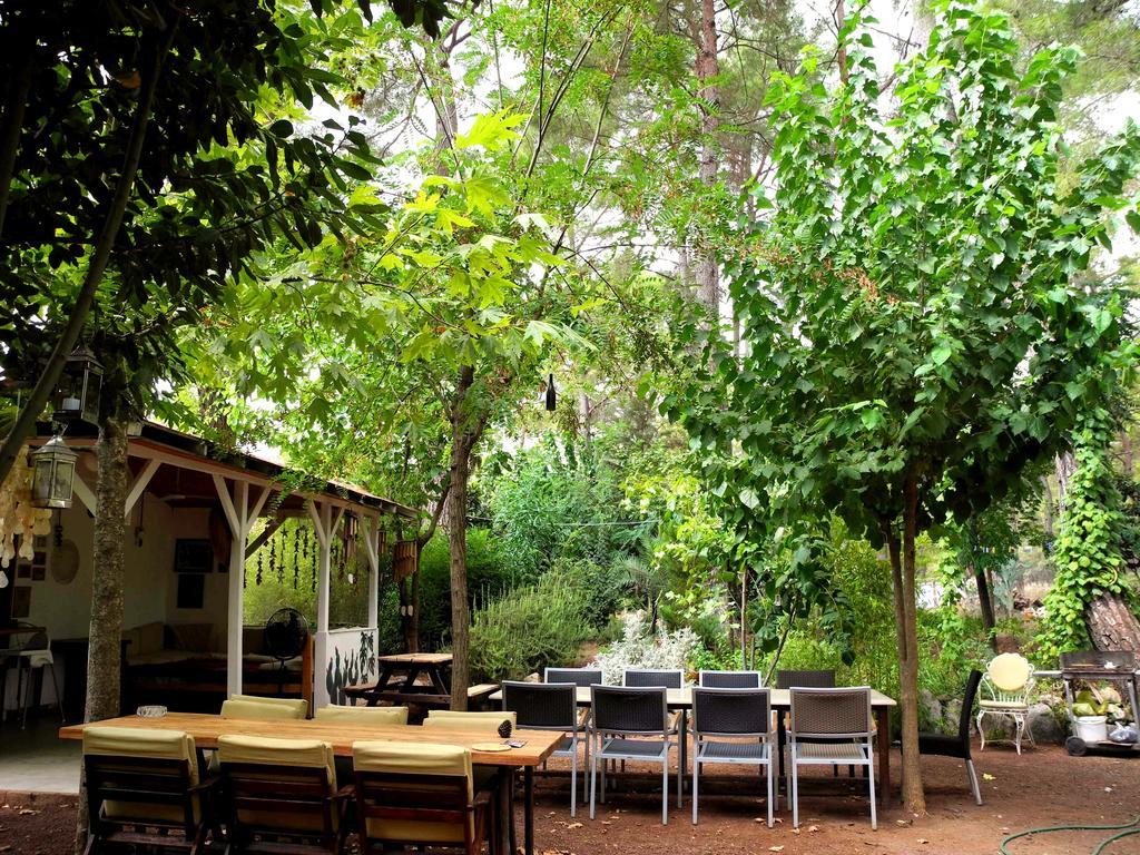 Guest house Daphne House 2*