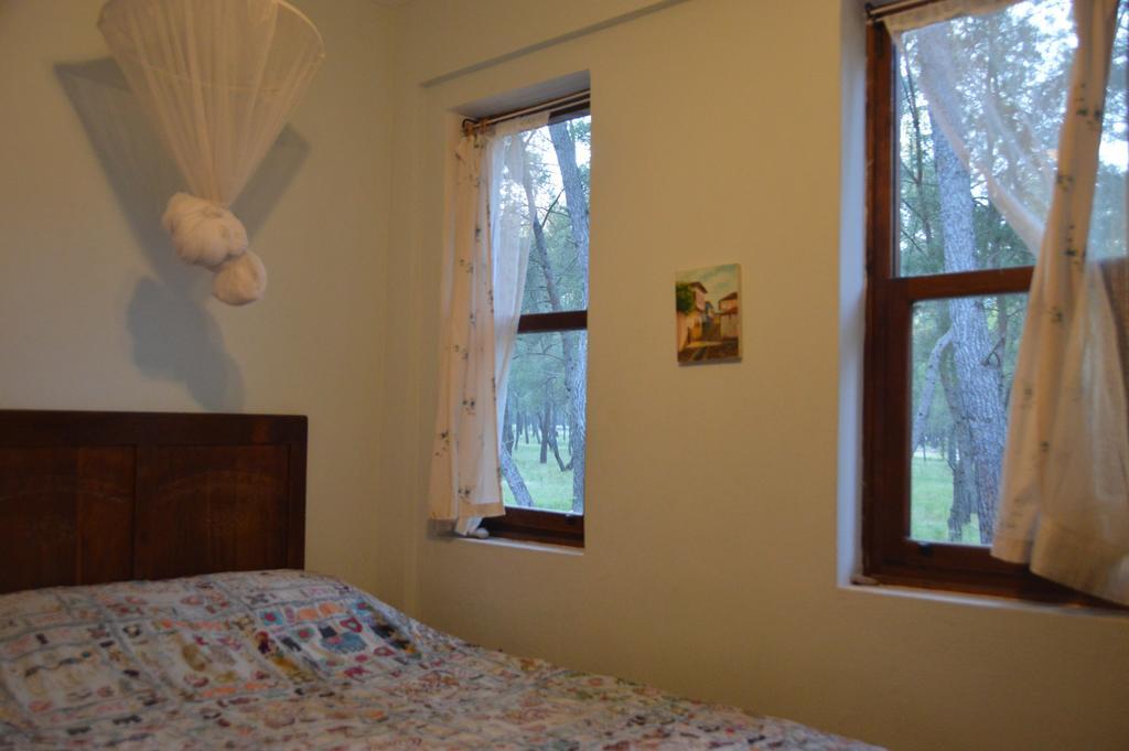 Daphne House Guest house