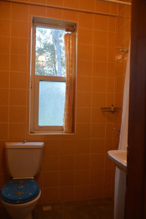 Guest house Daphne House 2*