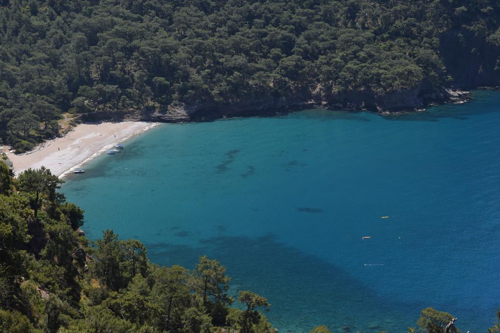 Kabak Avalon Lodge *