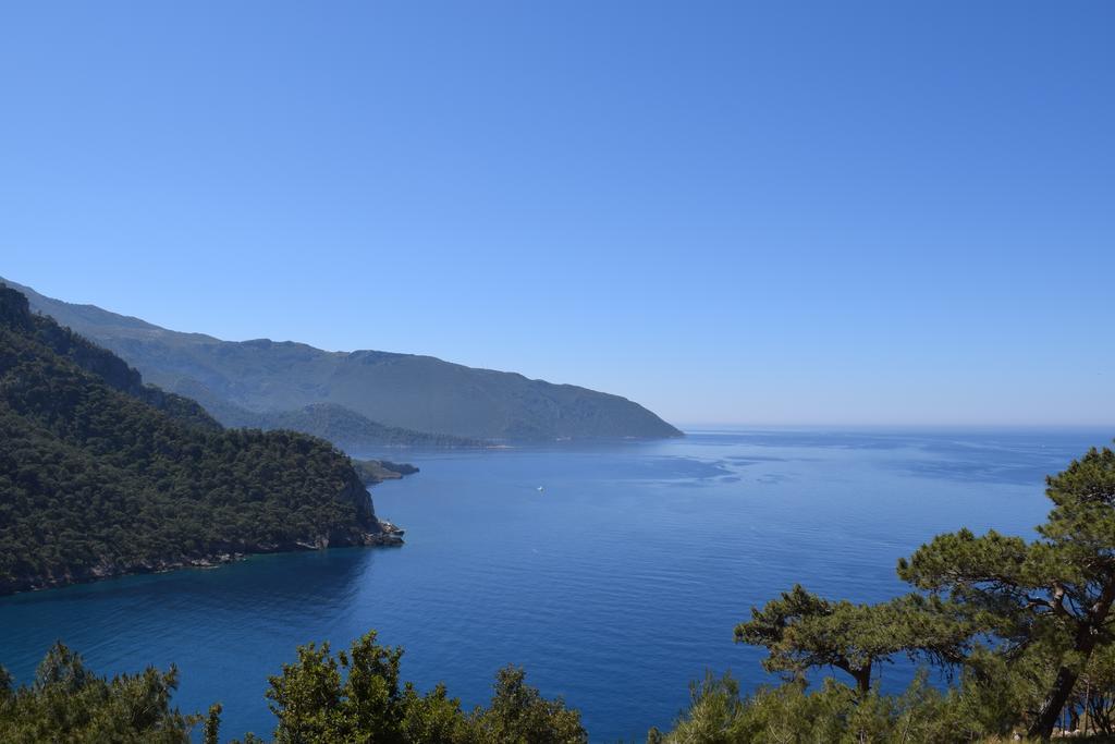 Kabak Avalon * Faralya