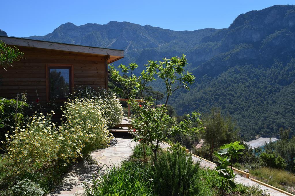 Lodge Kabak Avalon *