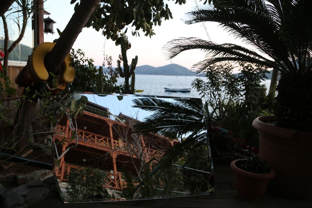 Hotel Dolphin 3*