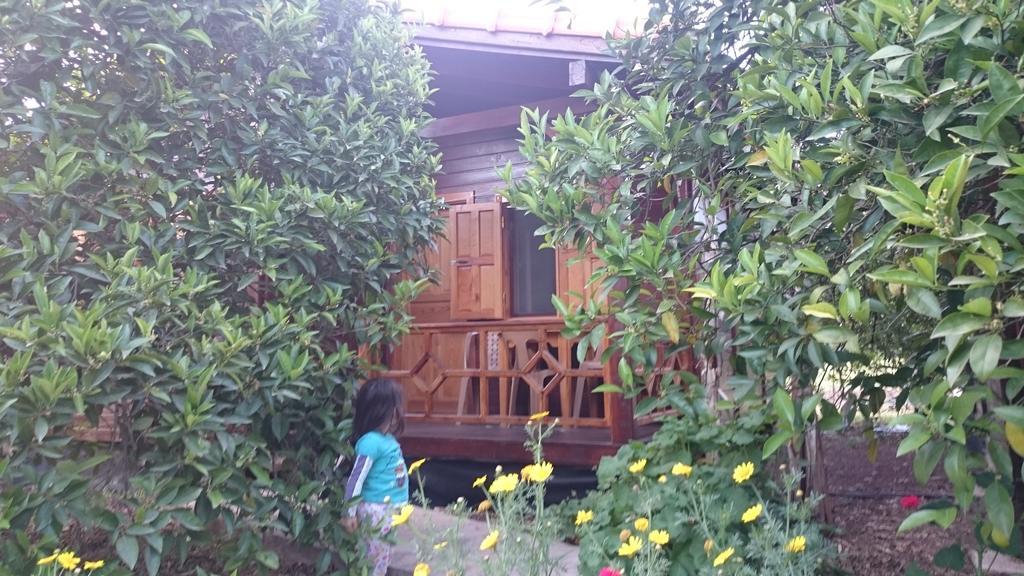Ugur Guest house *