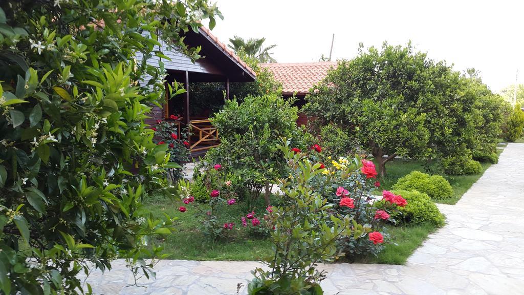 Cirali Hotel 3*