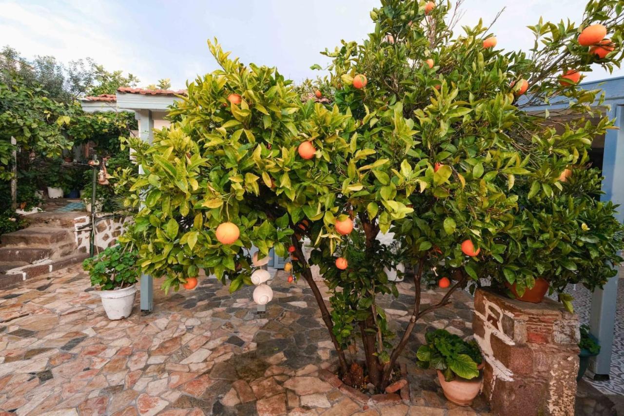 Herakles Bed & Breakfast Cesme