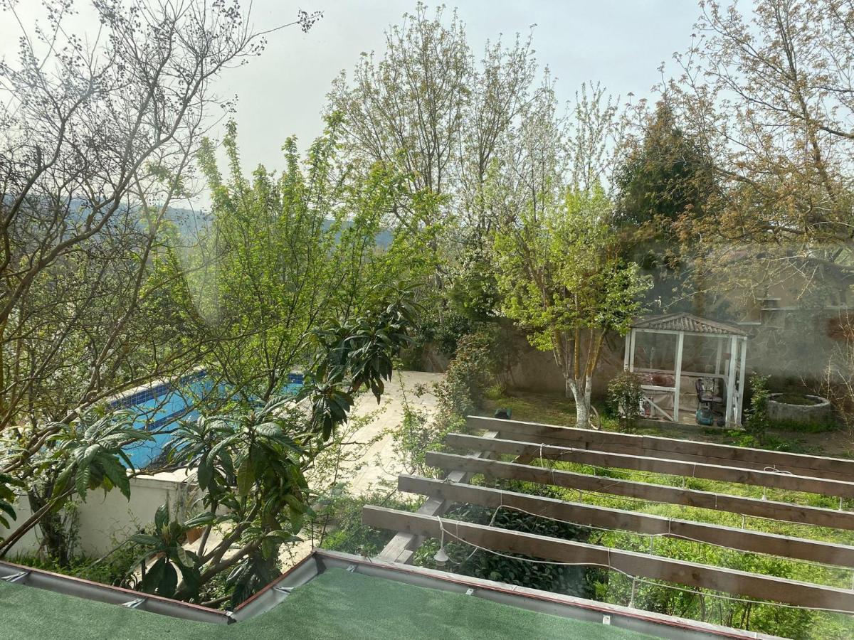 Hotel Zahi Dream Konaklar *