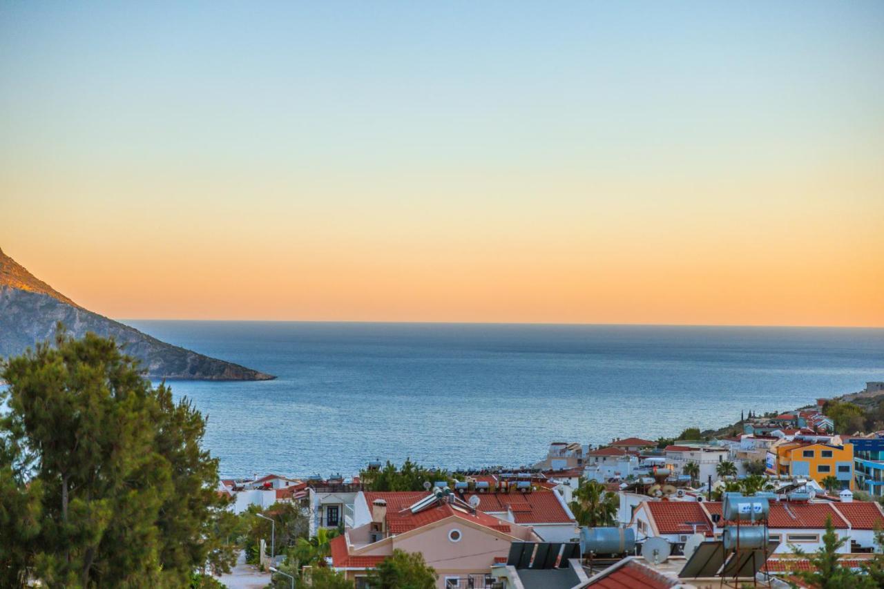 Villa Mystic Private Pool-garden & Sea Views In Location *