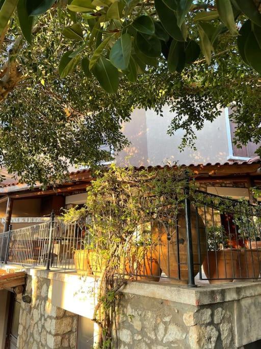 Kas, Kalkan, Club Patara Tatil Koeyuende