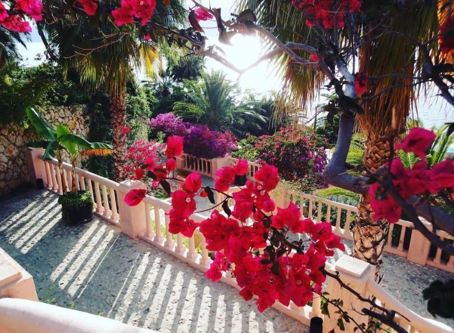 Kas, Kalkan, Club Patara Tatil Koeyuende