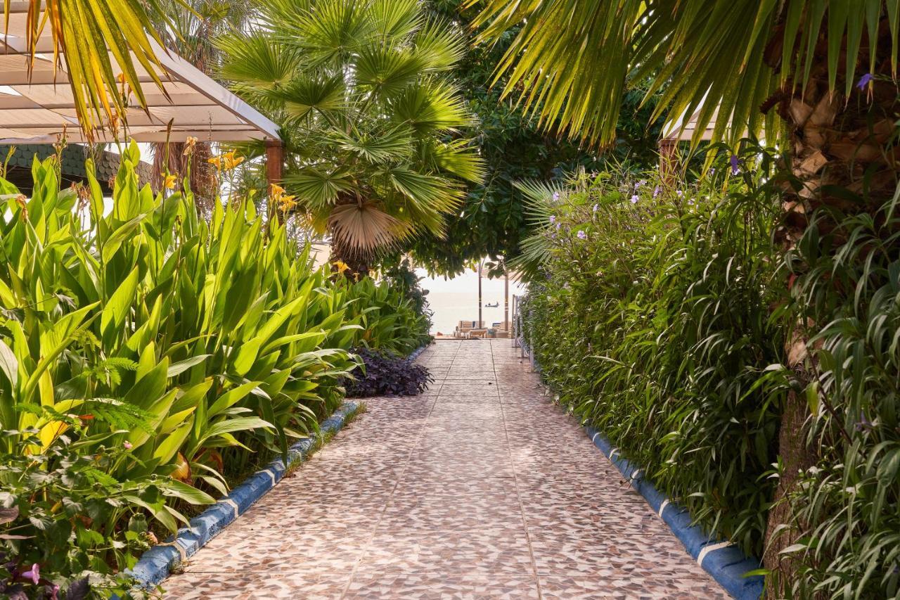 Maya World 3* Okurcalar