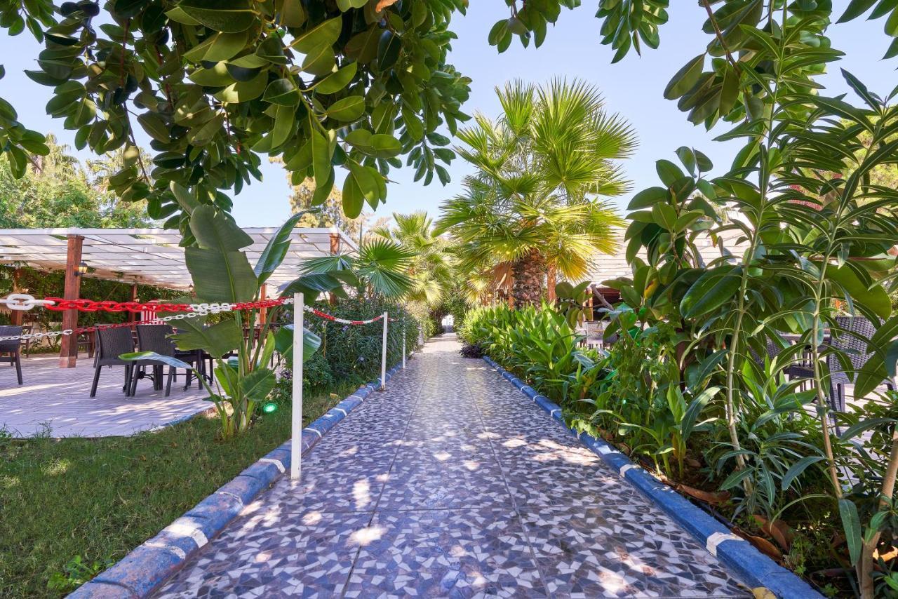 Maya World 3* Okurcalar